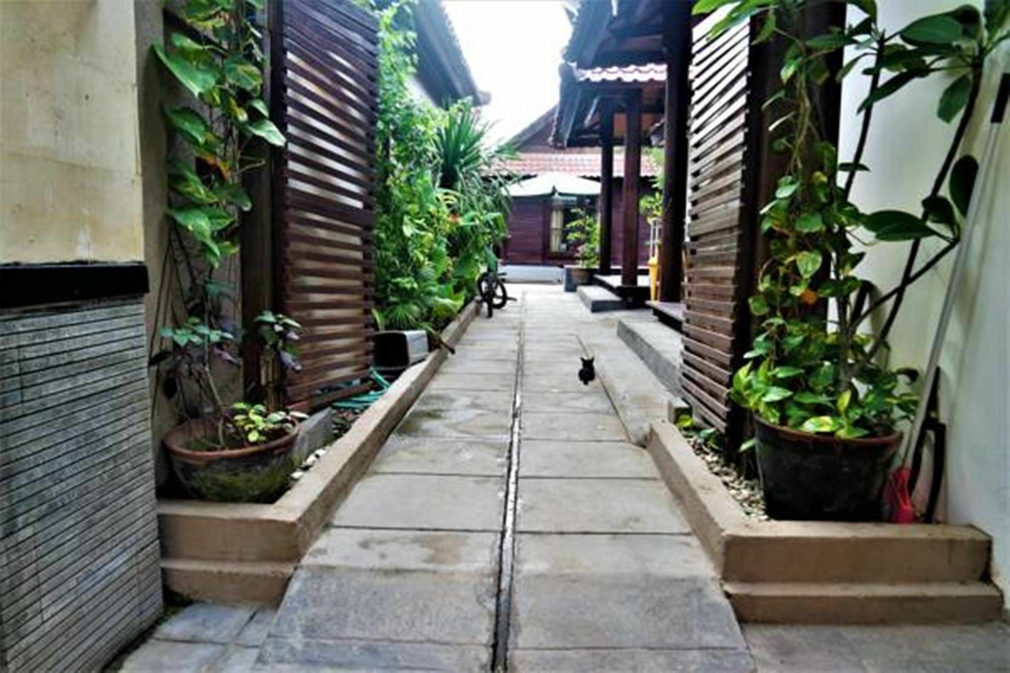 Drupadi Bungalows Gili Trawangan Exterior photo